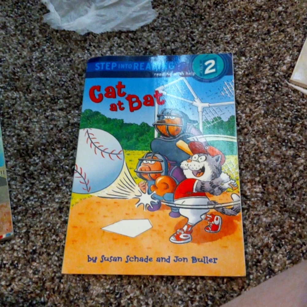 2 baseball books